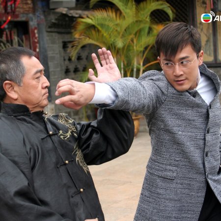 The Master of Tai Chi (2008)