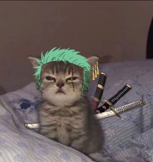 akaashixxz