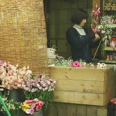 Undulant Fever Japanese Movie photo