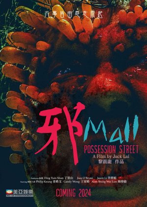 Possession Street () poster