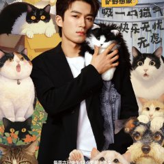 Wonderland Season 4 Chinese TV Program photo