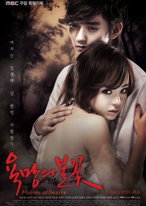 Flames of Desire (2010) poster
