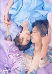 Sukina Otoko to Wakaretai japanese drama review