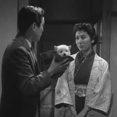 Till We Meet Again Japanese Movie(1955) photo