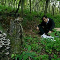 Shell and Joint Japanese Movie photo