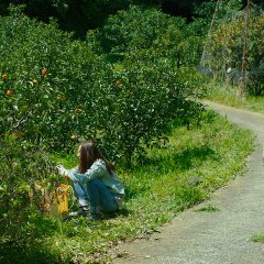 Missing Japanese Movie photo