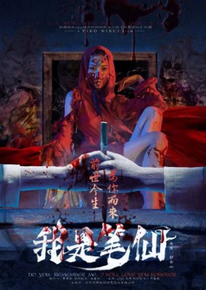 Wo Shi Bi Xian (2020) poster