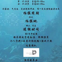 Kashmir Princess Chinese Movie photo