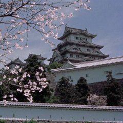 Samurai I: Musashi Miyamoto Japanese Movie photo