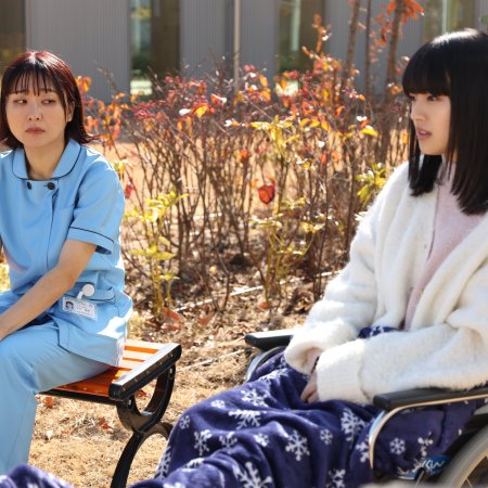 Tonari no Nurse Aide (2024)