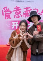 Ai Yi Cang Bu Zhu Chinese Drama photo