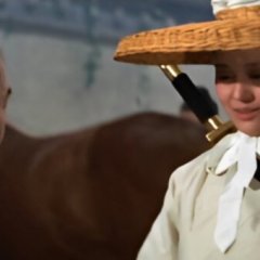 Lady with a Sword Hong Kong Movie photo