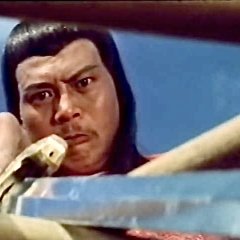 Swift Shaolin Boxer Taiwanese Movie photo