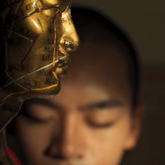 Rooted Taiwanese Movie photo