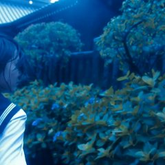 Asatsuyu Japanese Movie photo