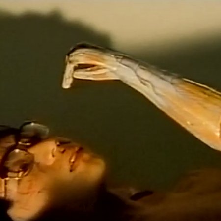 Night of Body's Model (1996)