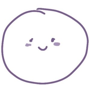 mspufcio
