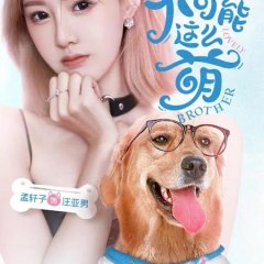 Lovely Brother Chinese Drama photo