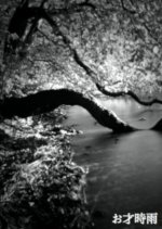 Osai Shigure Japanese Movie photo