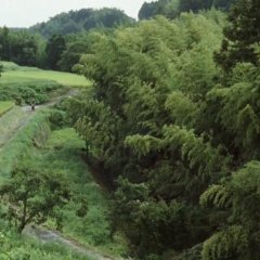 Mushishi (2007) photo