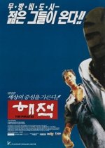 The Pirates Korean Movie(1994) photo