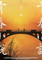 Youth Novel
