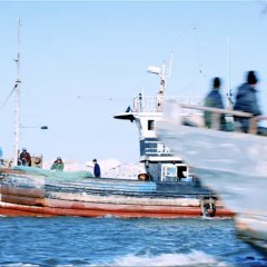 In the Middle of Blue Chinese Movie photo