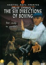 The Six Directions of Boxing Taiwanese Movie photo