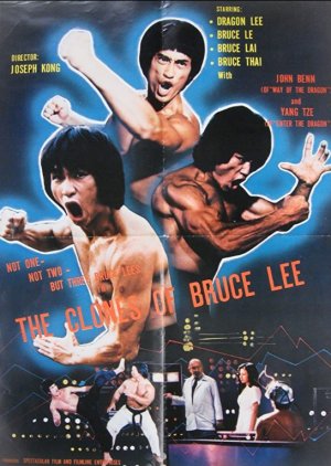 The Clones of Bruce Lee (1980) poster