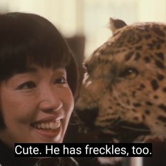 A Taxing Woman Japanese Movie photo