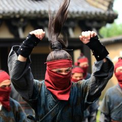 Nirvana in Fire (2015) photo