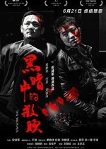 The Brother Chinese Movie(2012) photo