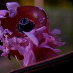 The Memory Lane Japanese Movie photo