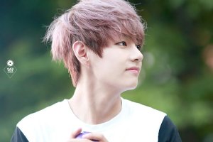 Taekimhyu