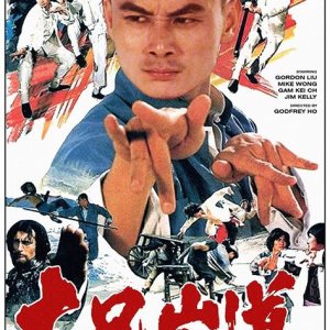 Raiders of Buddhist Kung Fu (1982)