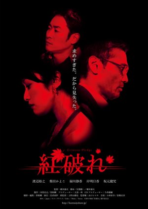 Crimson Pledge (2014) poster