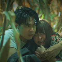 Fearless Love Thai Movie photo