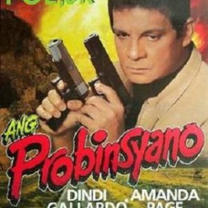 Ang  Probinsyano (1996)