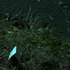 Spring Korean Movie(2012) photo