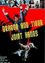 The Dragon and Tiger Joint Hands Taiwanese Movie photo