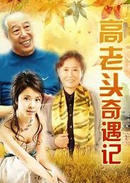 The Adventures of Old Mr. Gao (2002) poster
