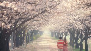 Gamma-level-simulation