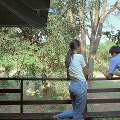 Syndromes and a Century Thai Movie photo