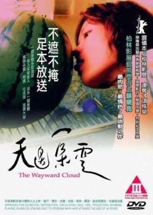 The Wayward Cloud (2005) poster