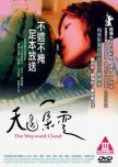 The Wayward Cloud taiwanese movie review