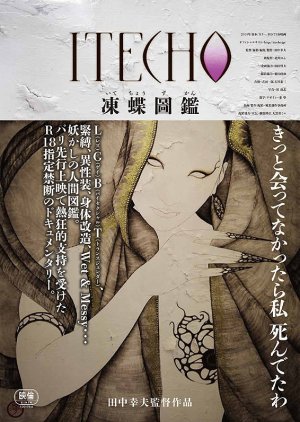 ITECHO (2014) poster