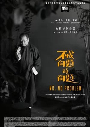 Mr. No Problem (2016) poster