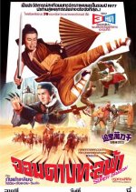 Dynasty Taiwanese Movie(1977) photo