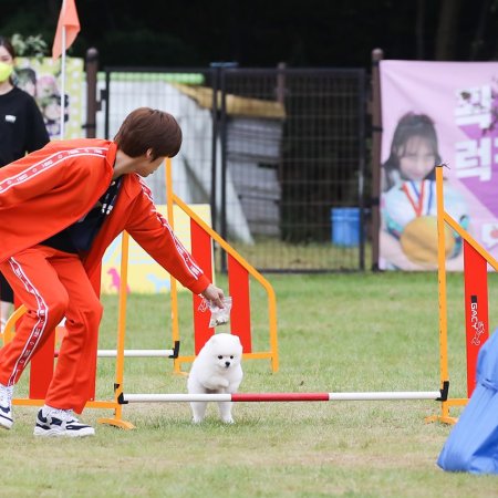 2020 Idol Woof Woof Athletics Championships Chuseok Special (2020)