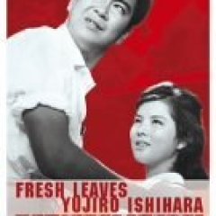 Wakai Hito Japanese Movie(1962) photo